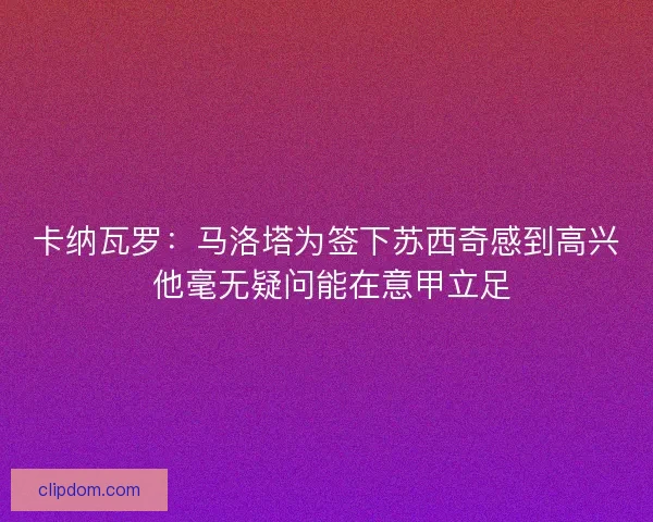 卡纳瓦罗：马洛塔为签下苏西奇感到高兴 他毫无疑问能在意甲立足