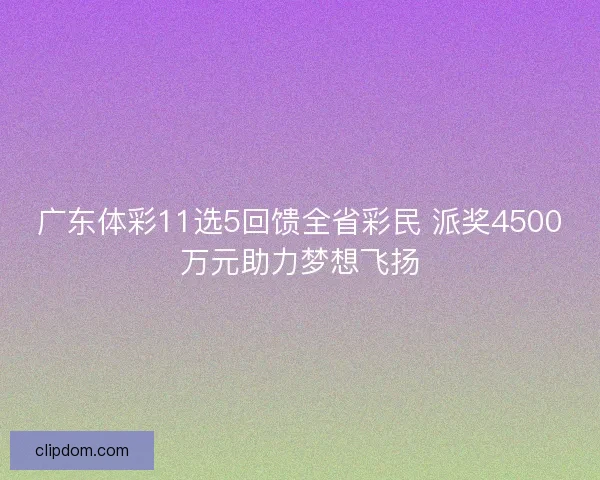 广东体彩11选5回馈全省彩民 派奖4500万元助力梦想飞扬