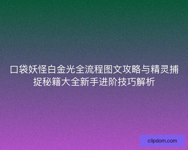 口袋妖怪白金光全流程图文攻略与精灵捕捉秘籍大全新手进阶技巧解析