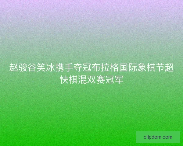 赵骏谷笑冰携手夺冠布拉格国际象棋节超快棋混双赛冠军