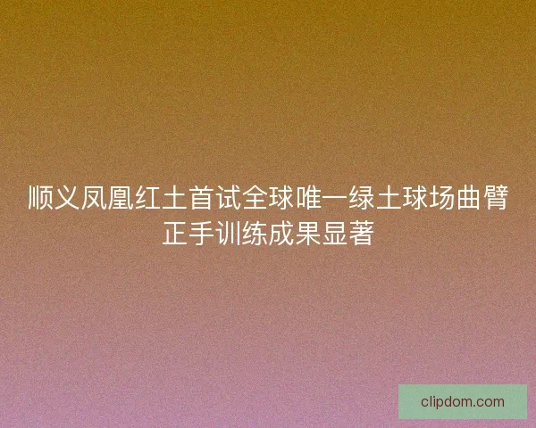 顺义凤凰红土首试全球唯一绿土球场曲臂正手训练成果显著
